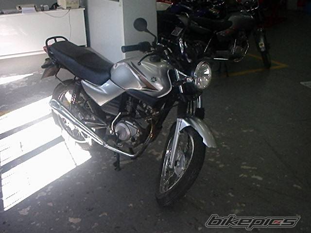 Photo 206915