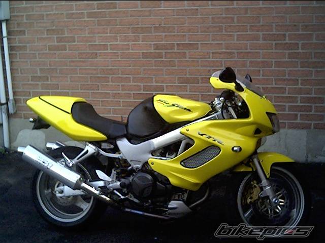 Photo 206929