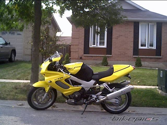 Photo 206931