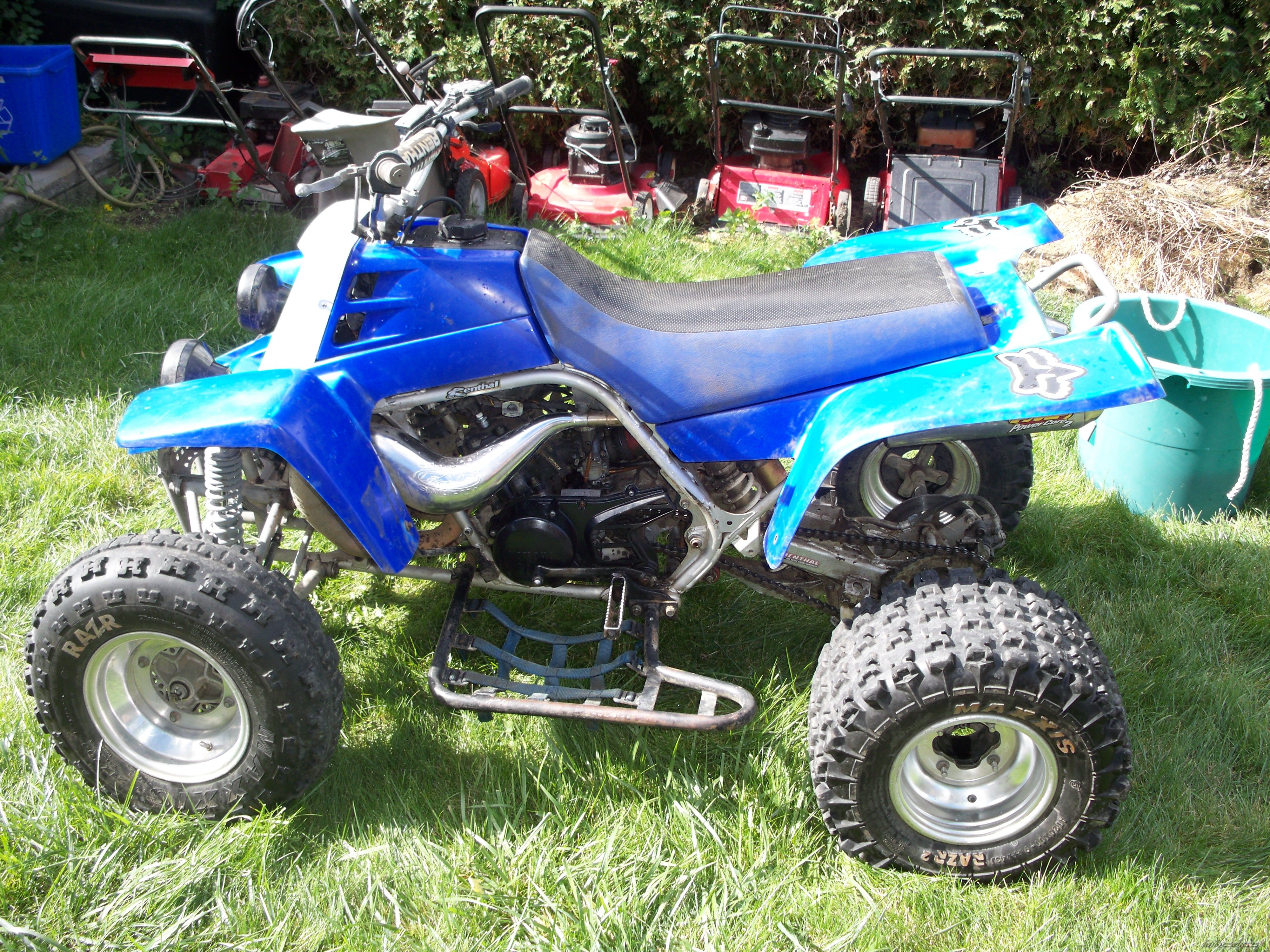 Photo 2069419