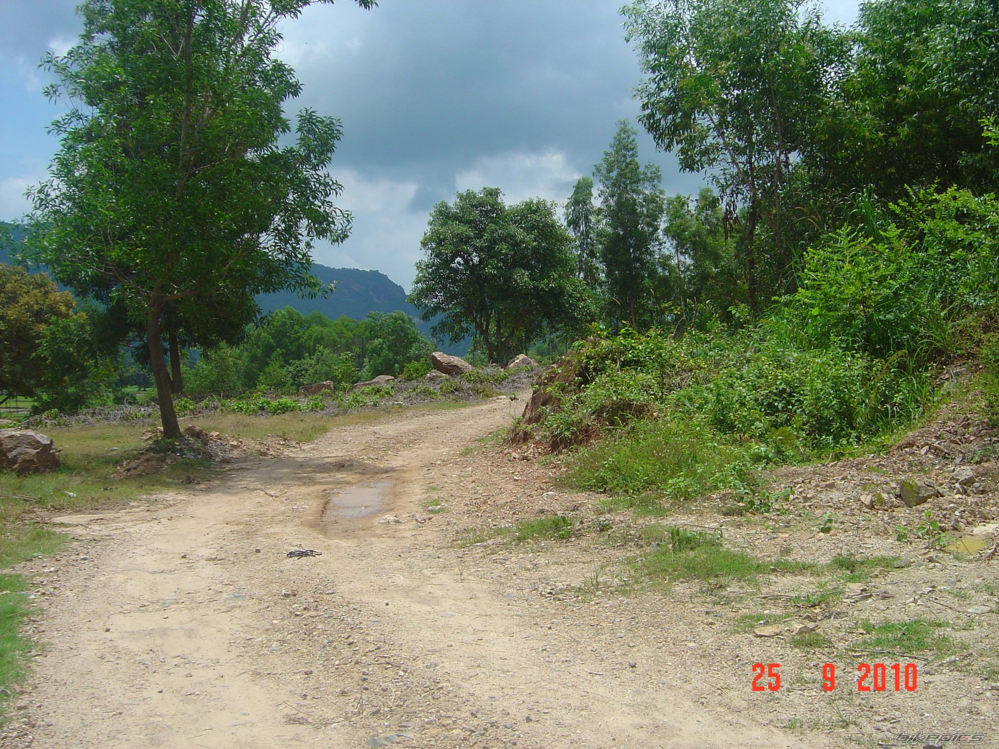 Photo 2069597