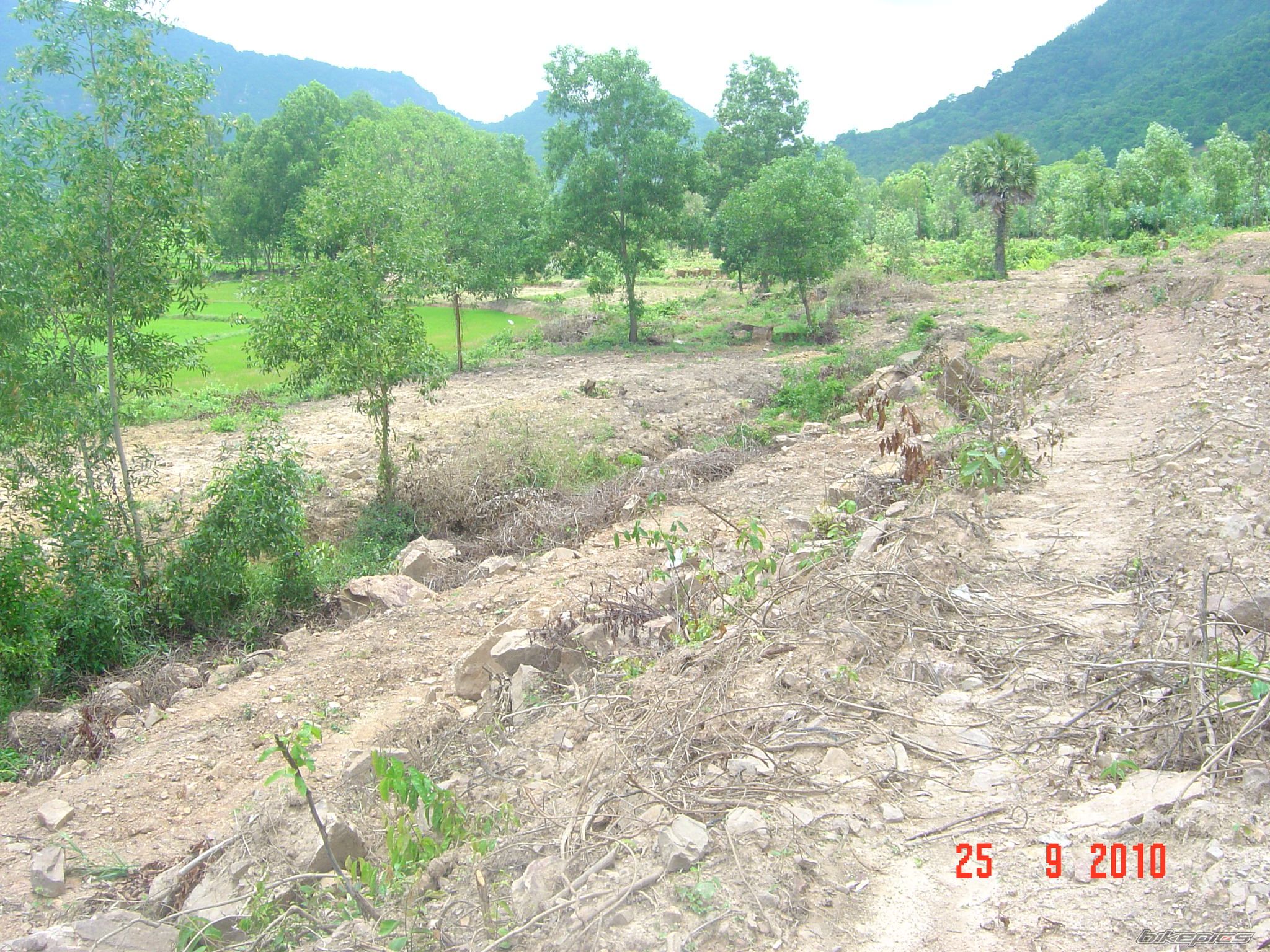 Photo 2069604