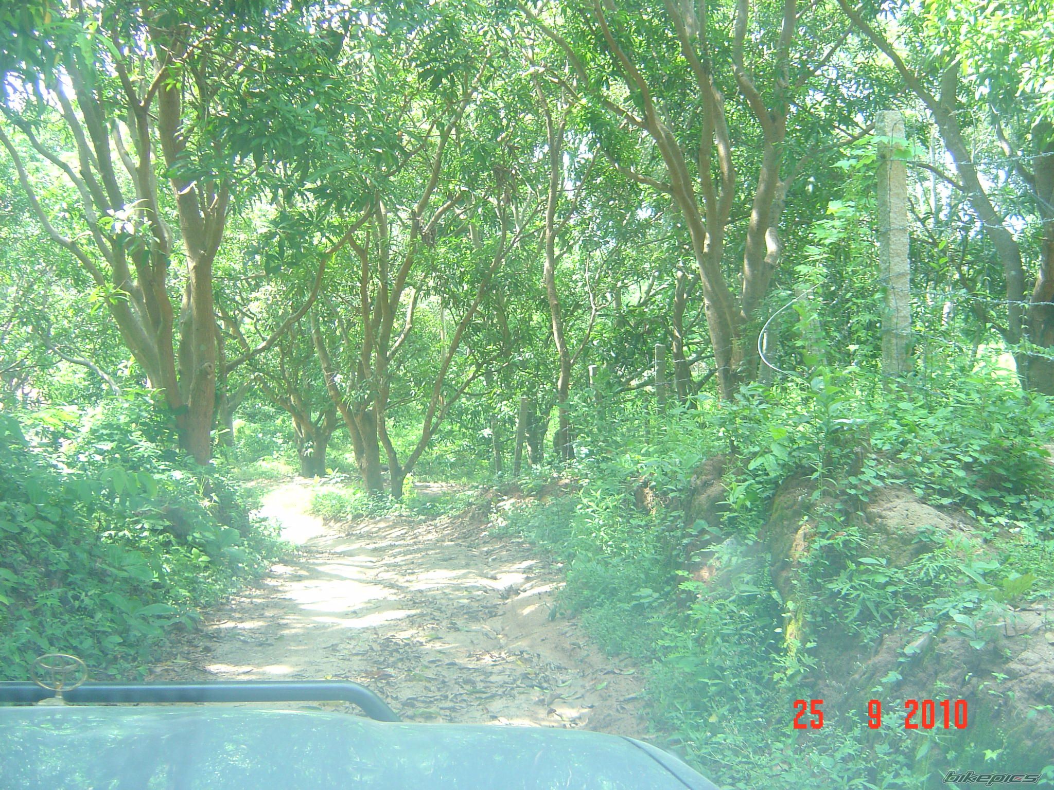 Photo 2069613