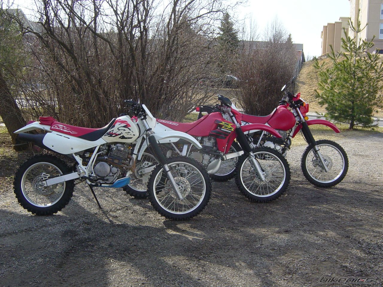 Photo 2069692