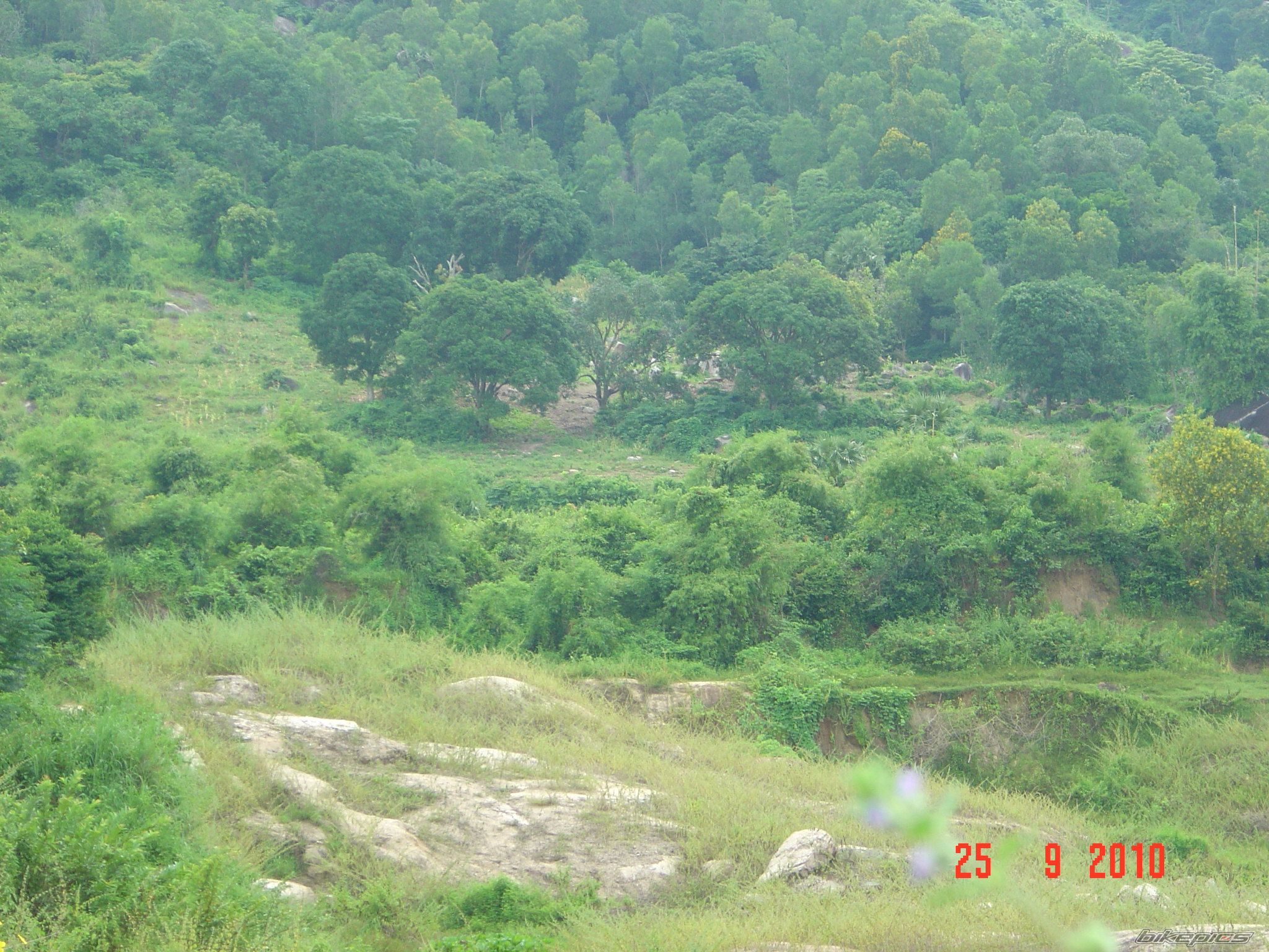 Photo 2069715
