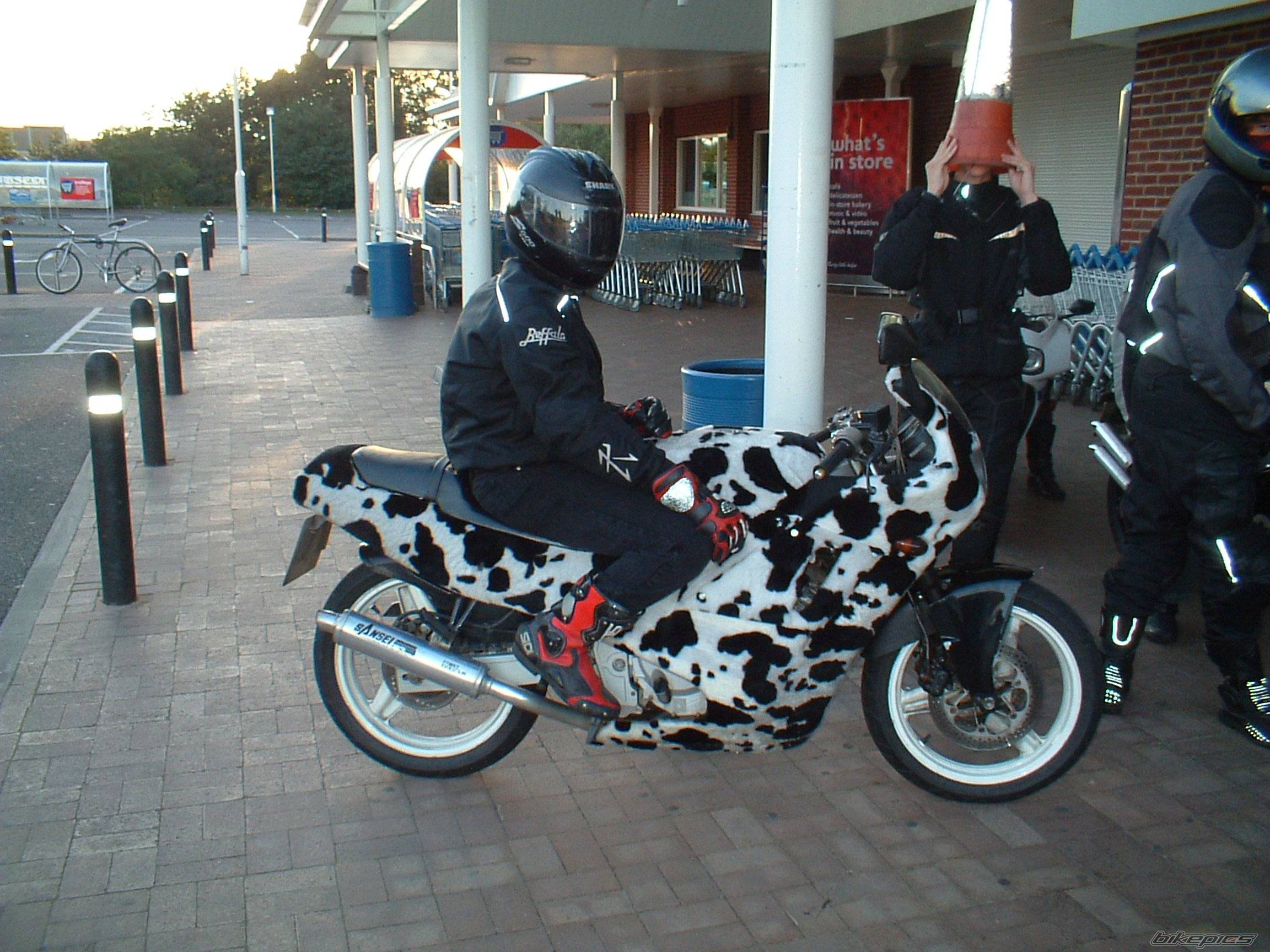 Photo 207021