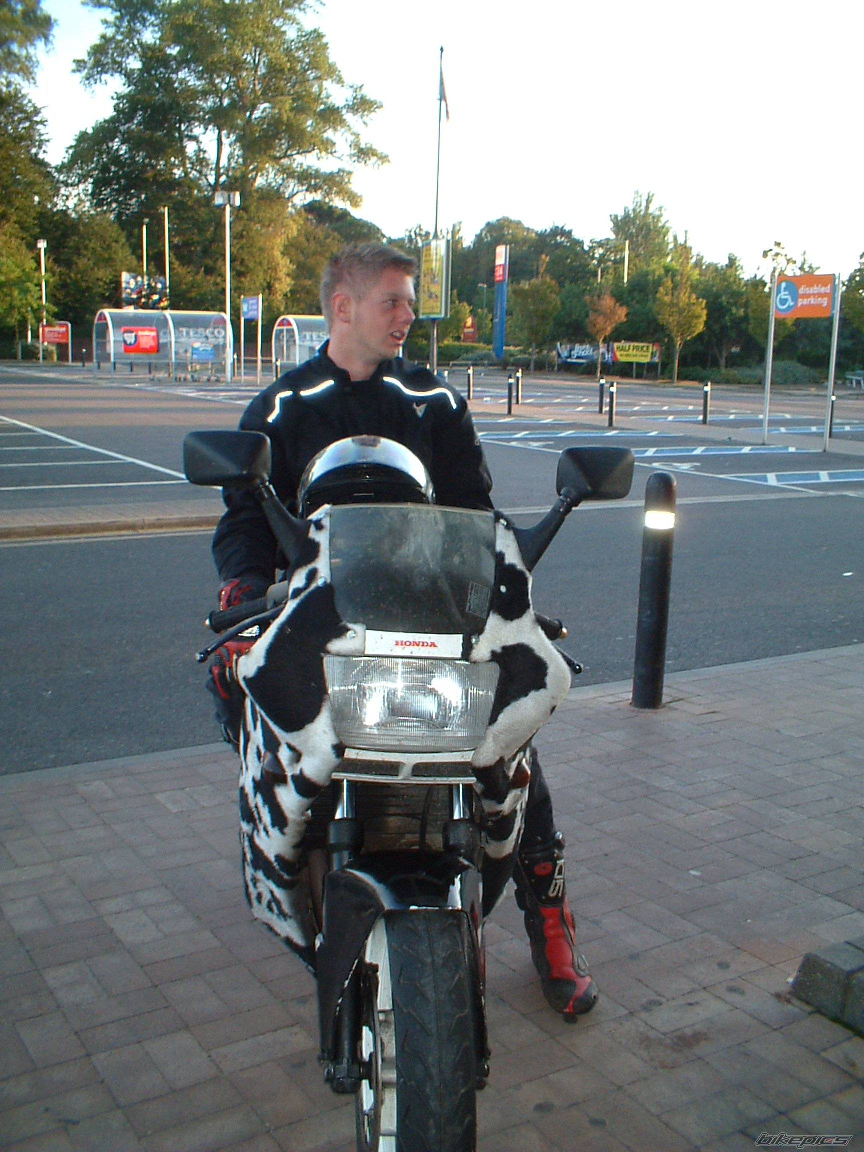 Photo 207022