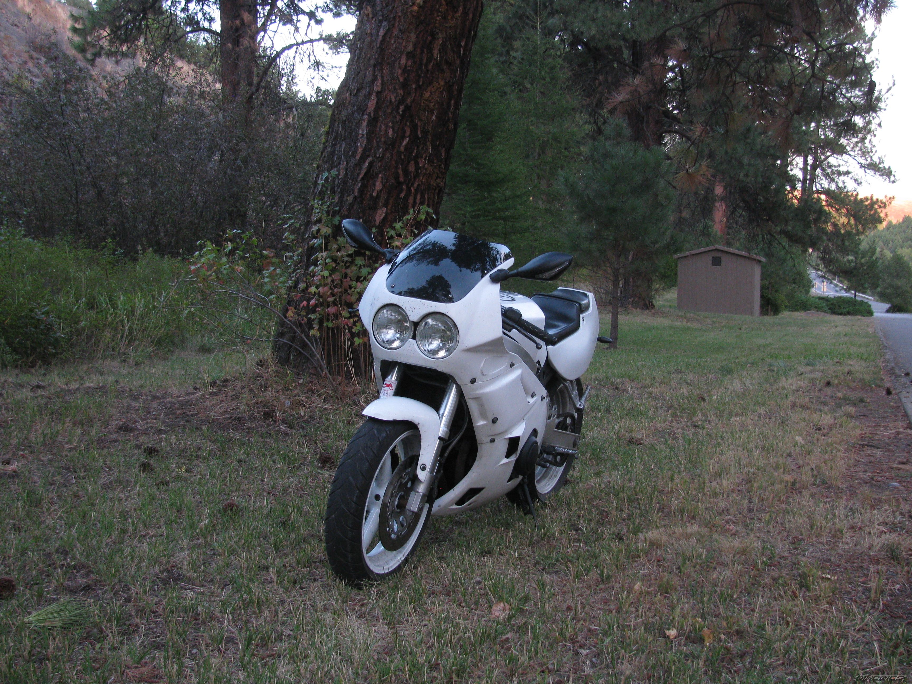 Photo 2070405