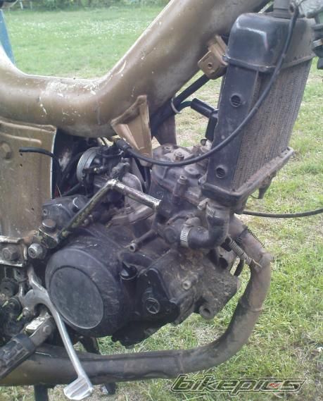 Photo 2070509