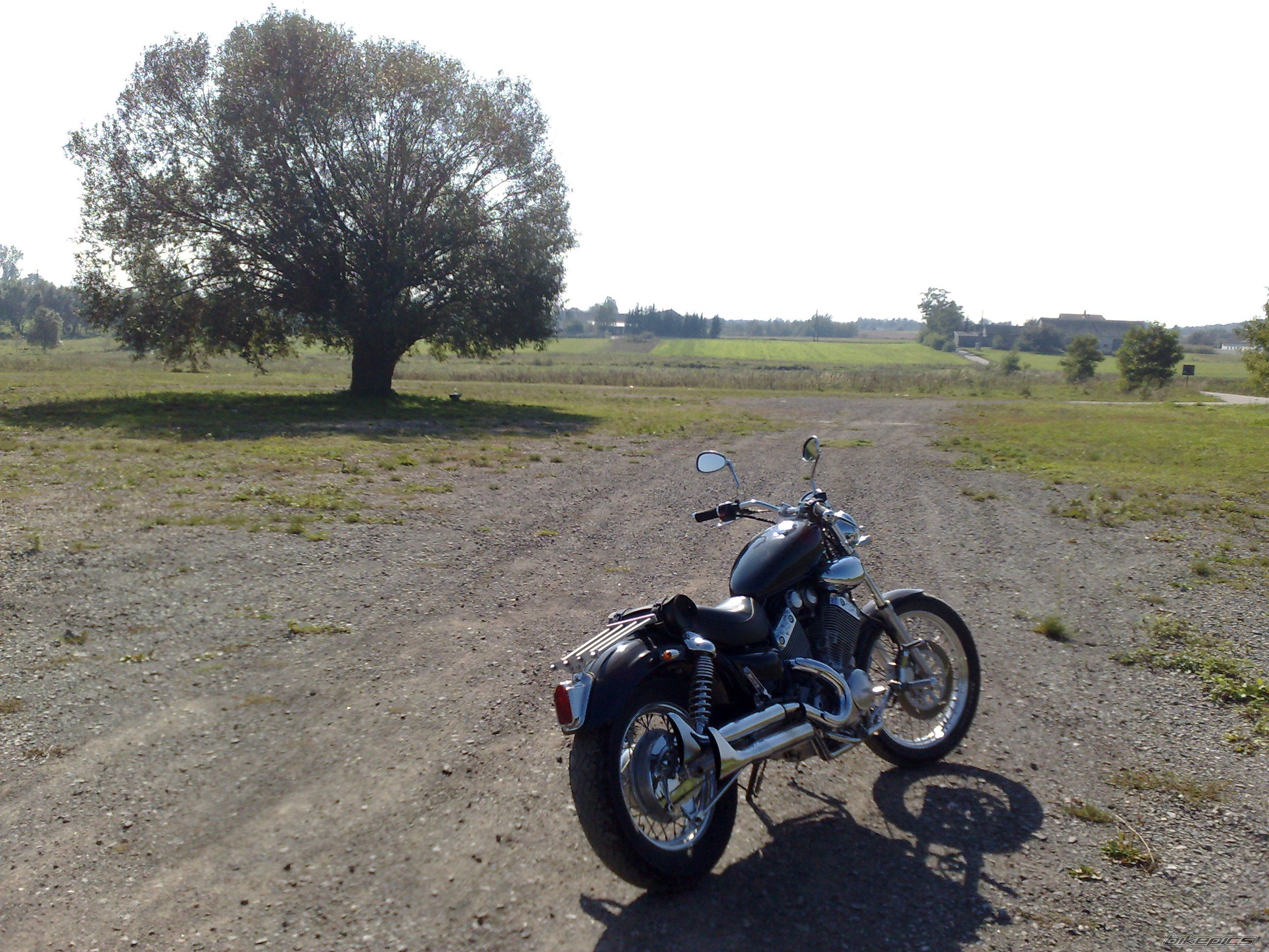 Photo 2070570
