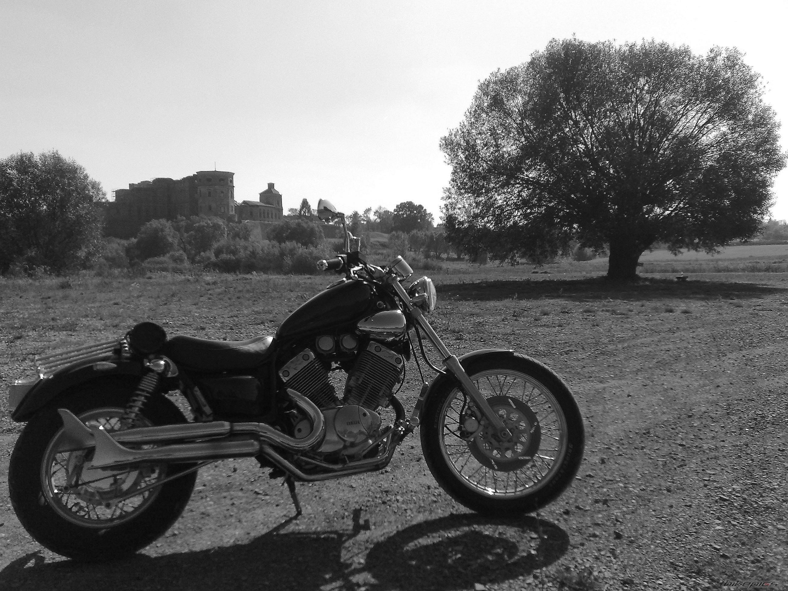 Photo 2070579