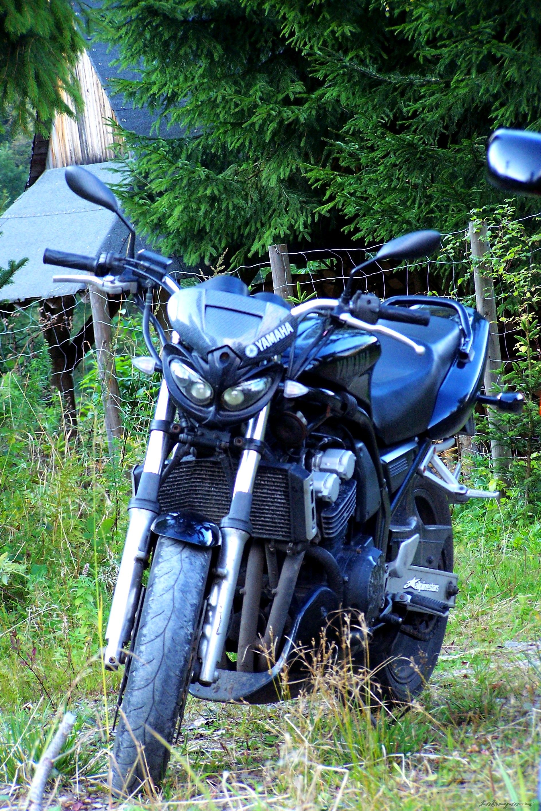 Photo 2070775