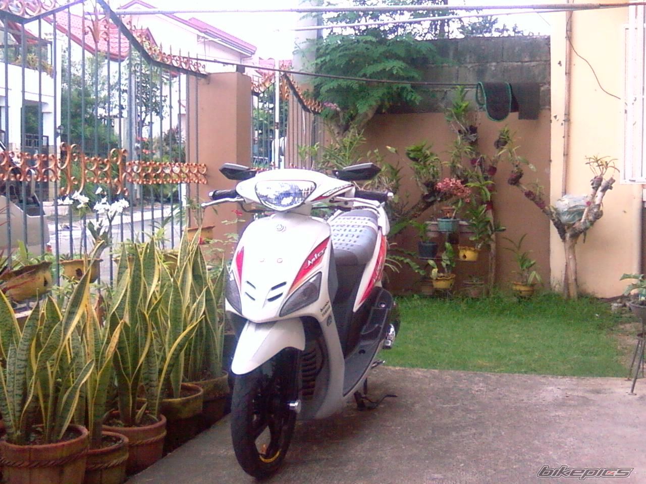 Bike Photo 2070936
