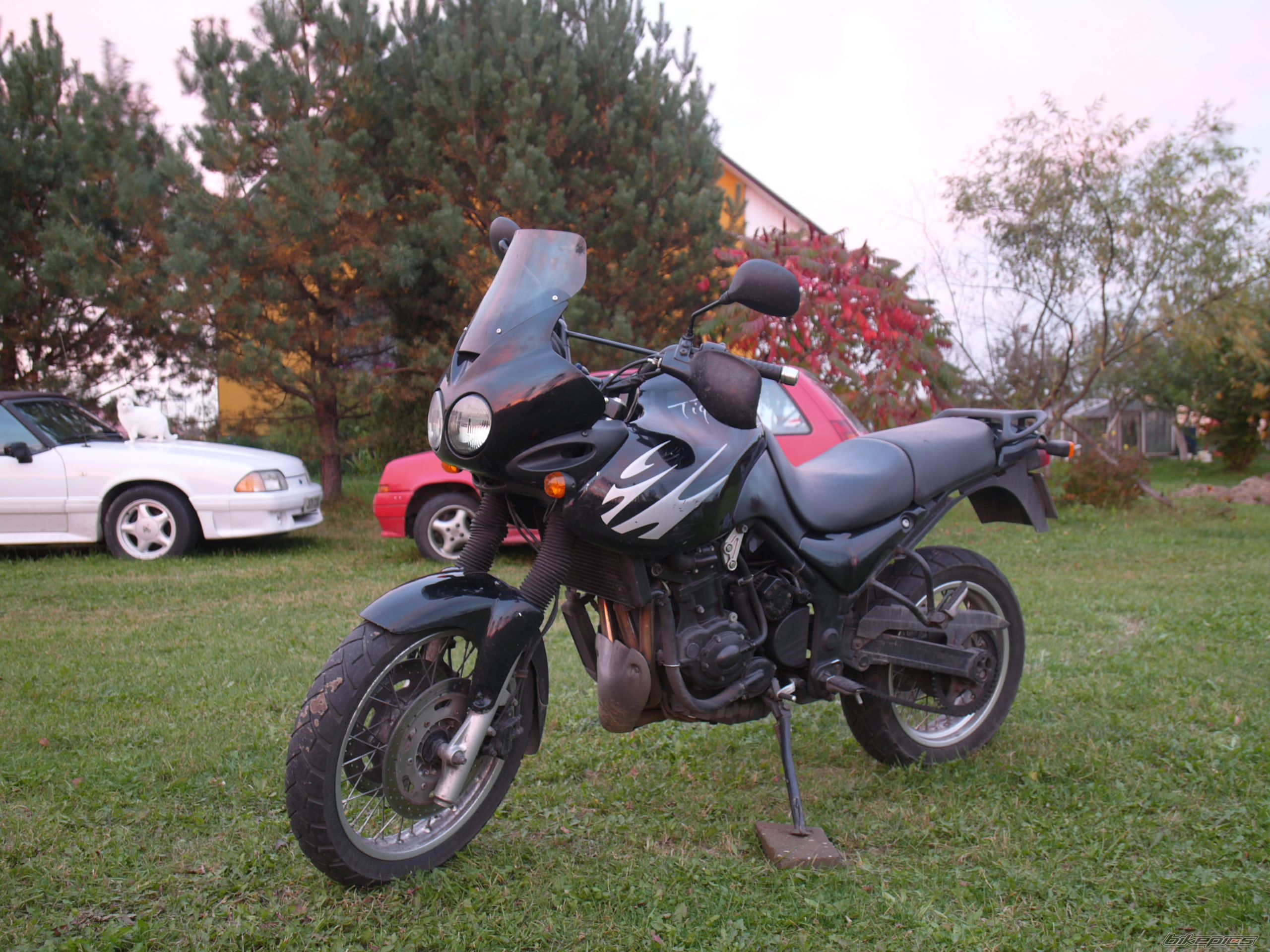 Photo 2071238