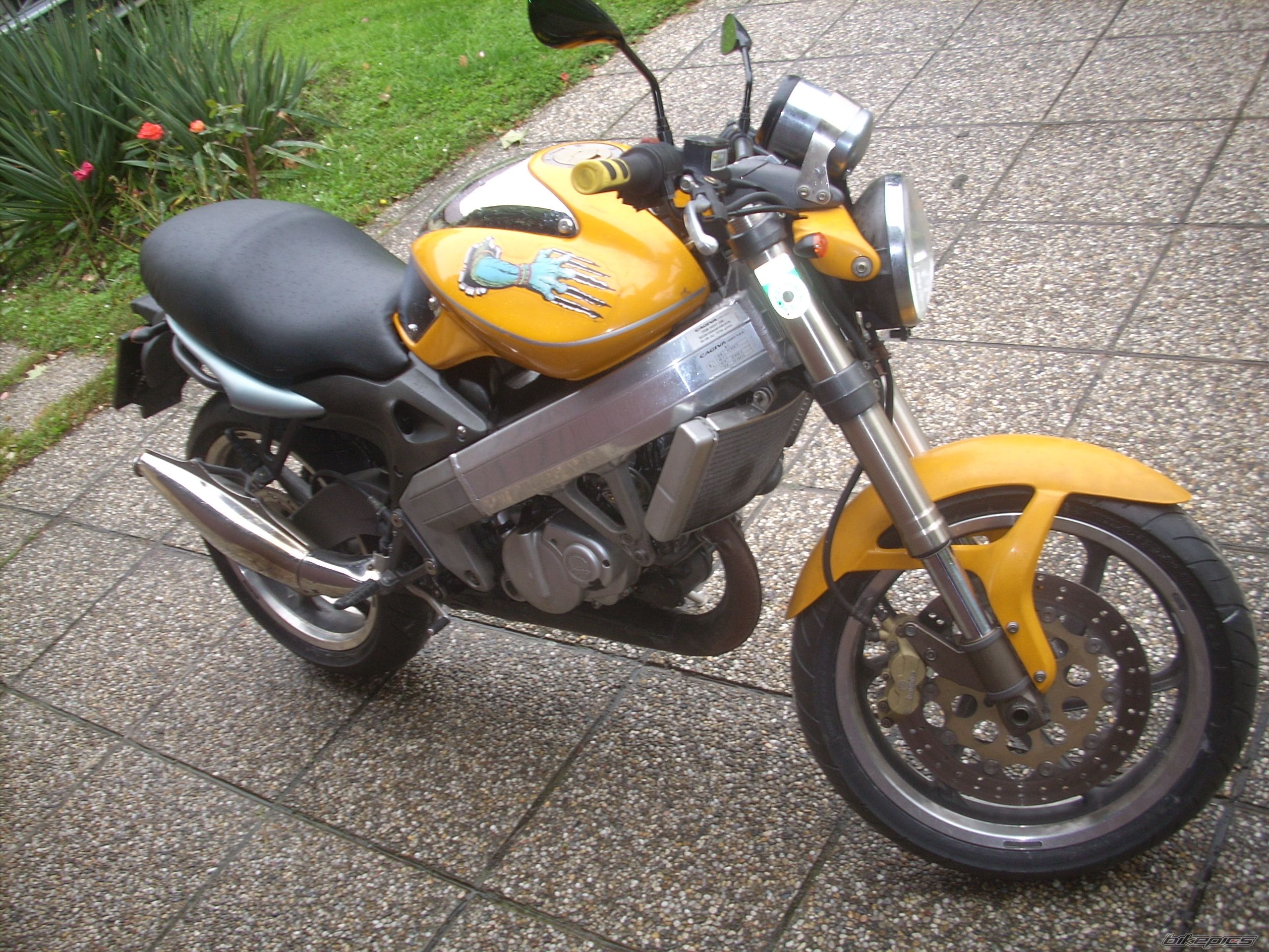 Photo 2071465