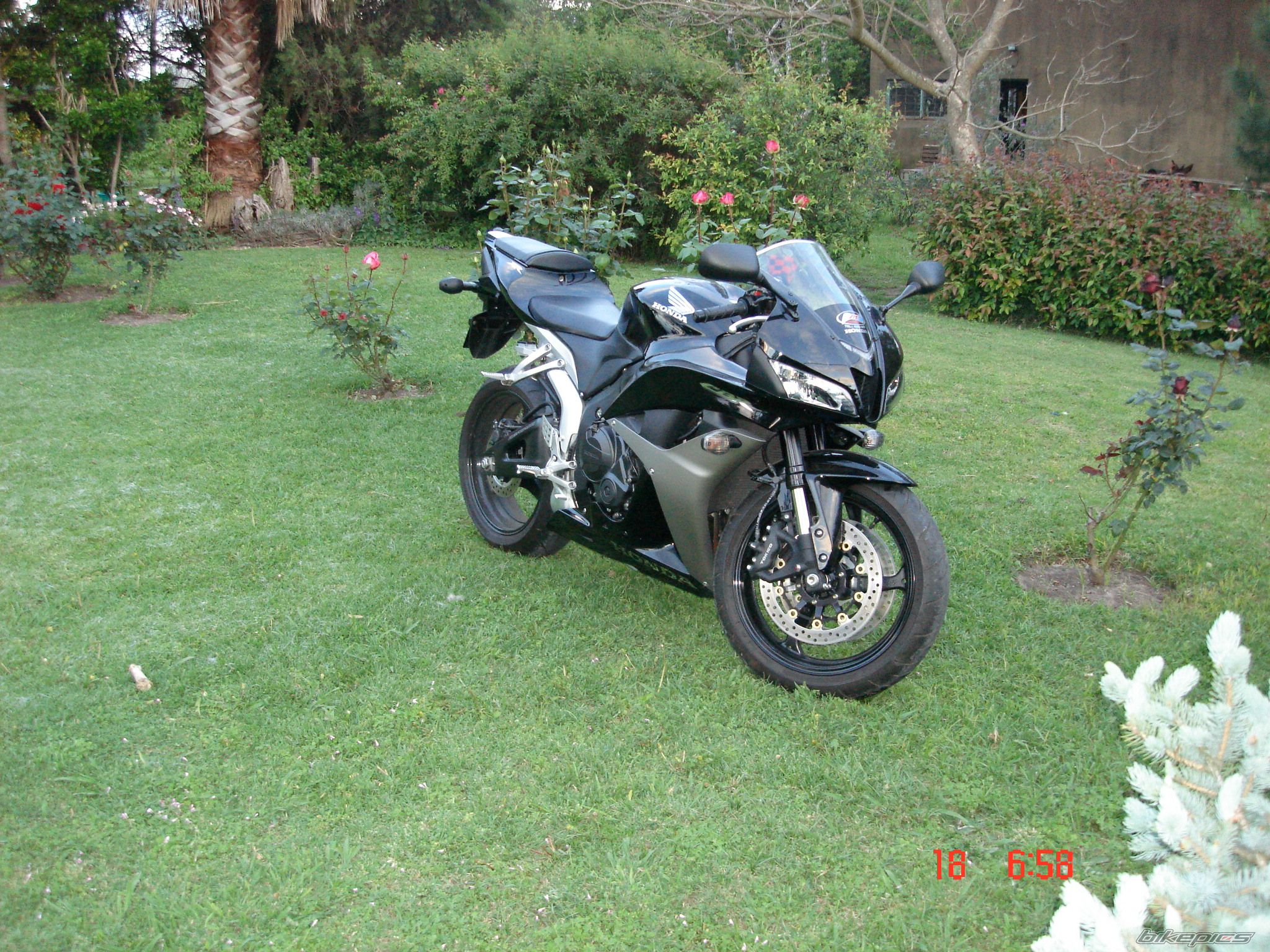 Photo 2071696