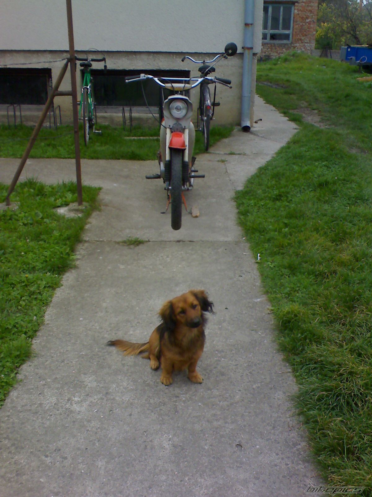 Photo 2071897