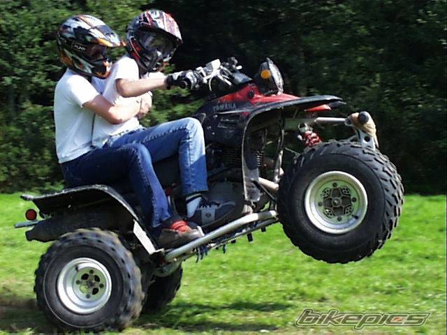 Photo 207191