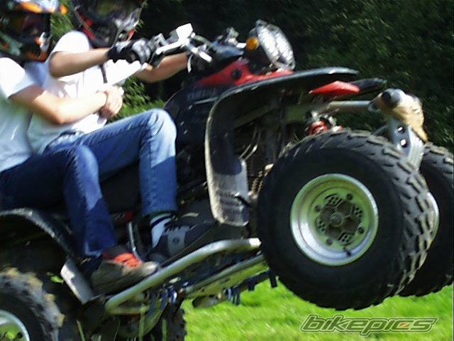 Photo 207195