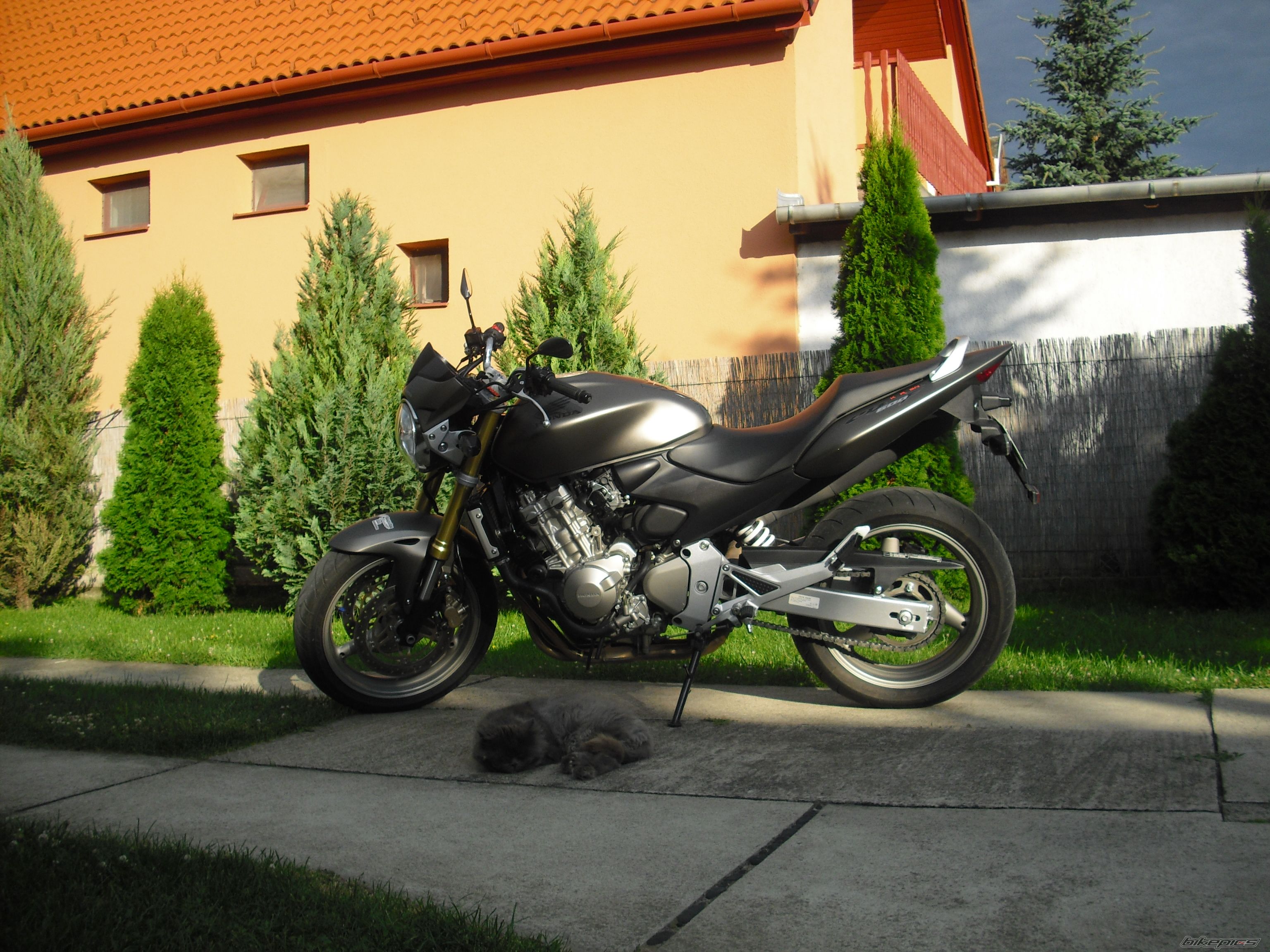 Bike Photo 2072025