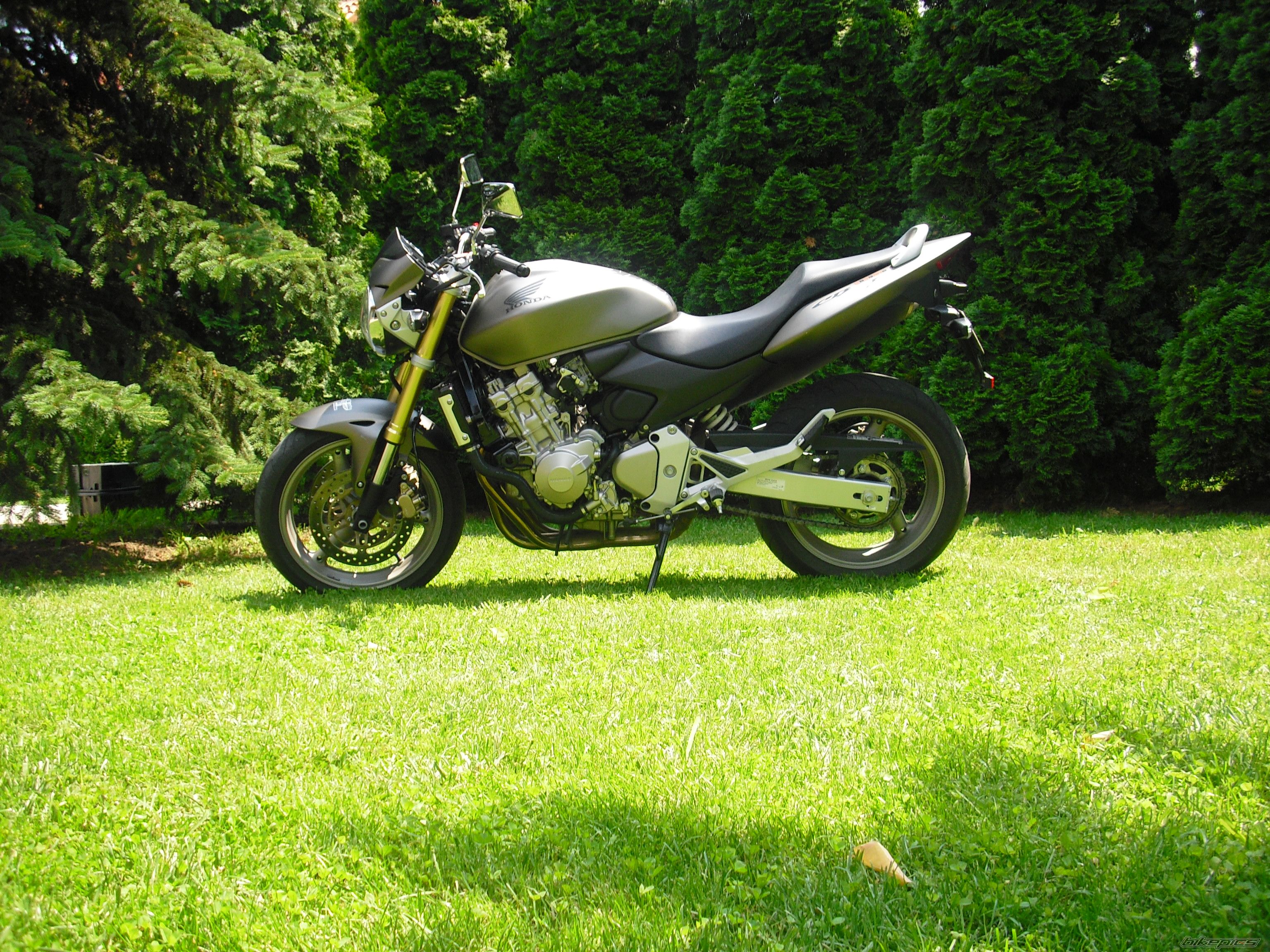 Photo 2072030