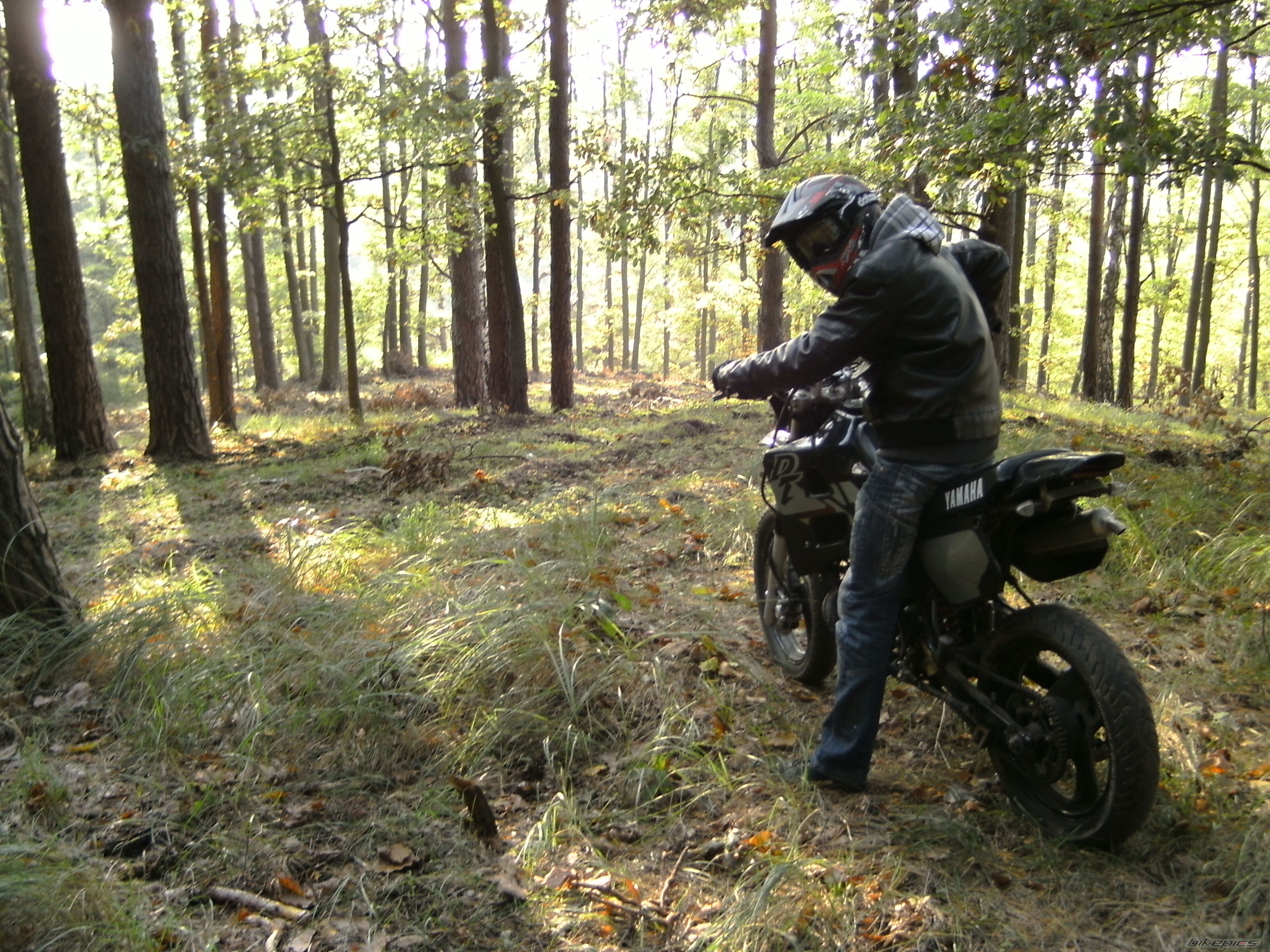 Photo 2072073