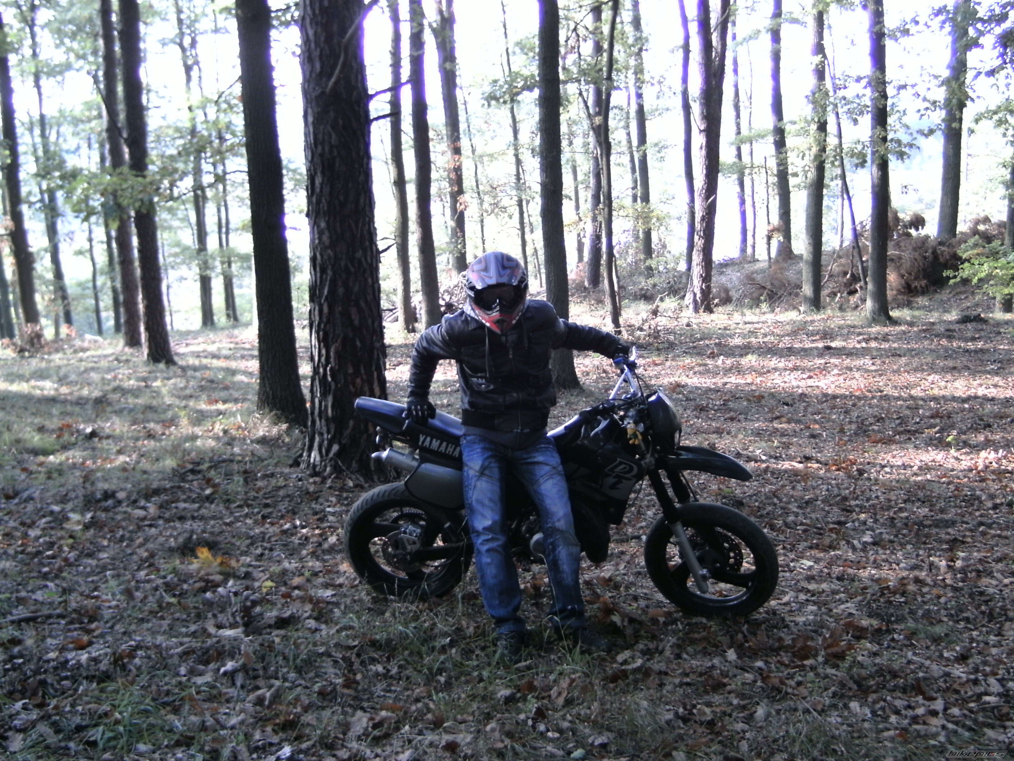 Photo 2072076