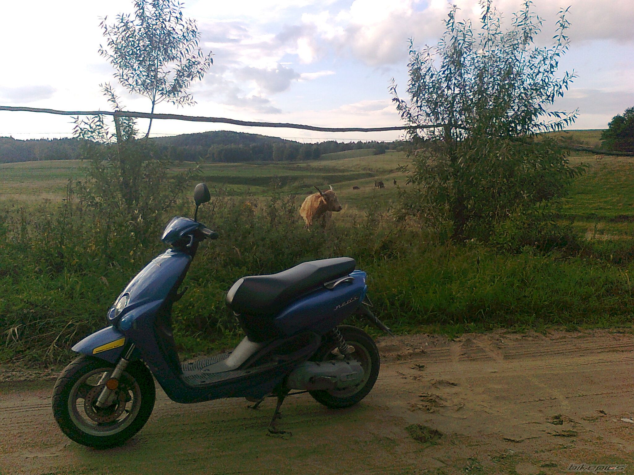 Photo 2072083