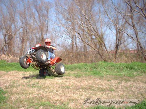 Photo 207211