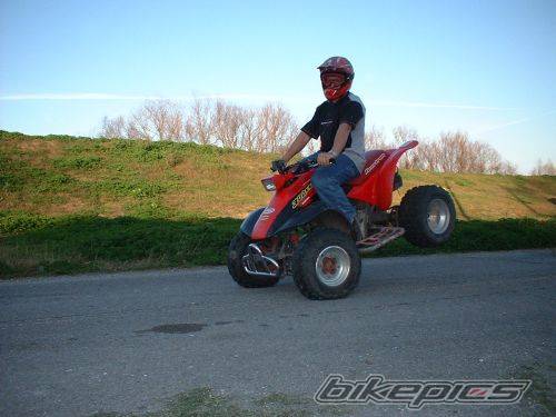 Photo 207213