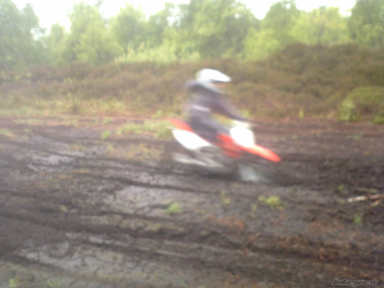 Photo 207216