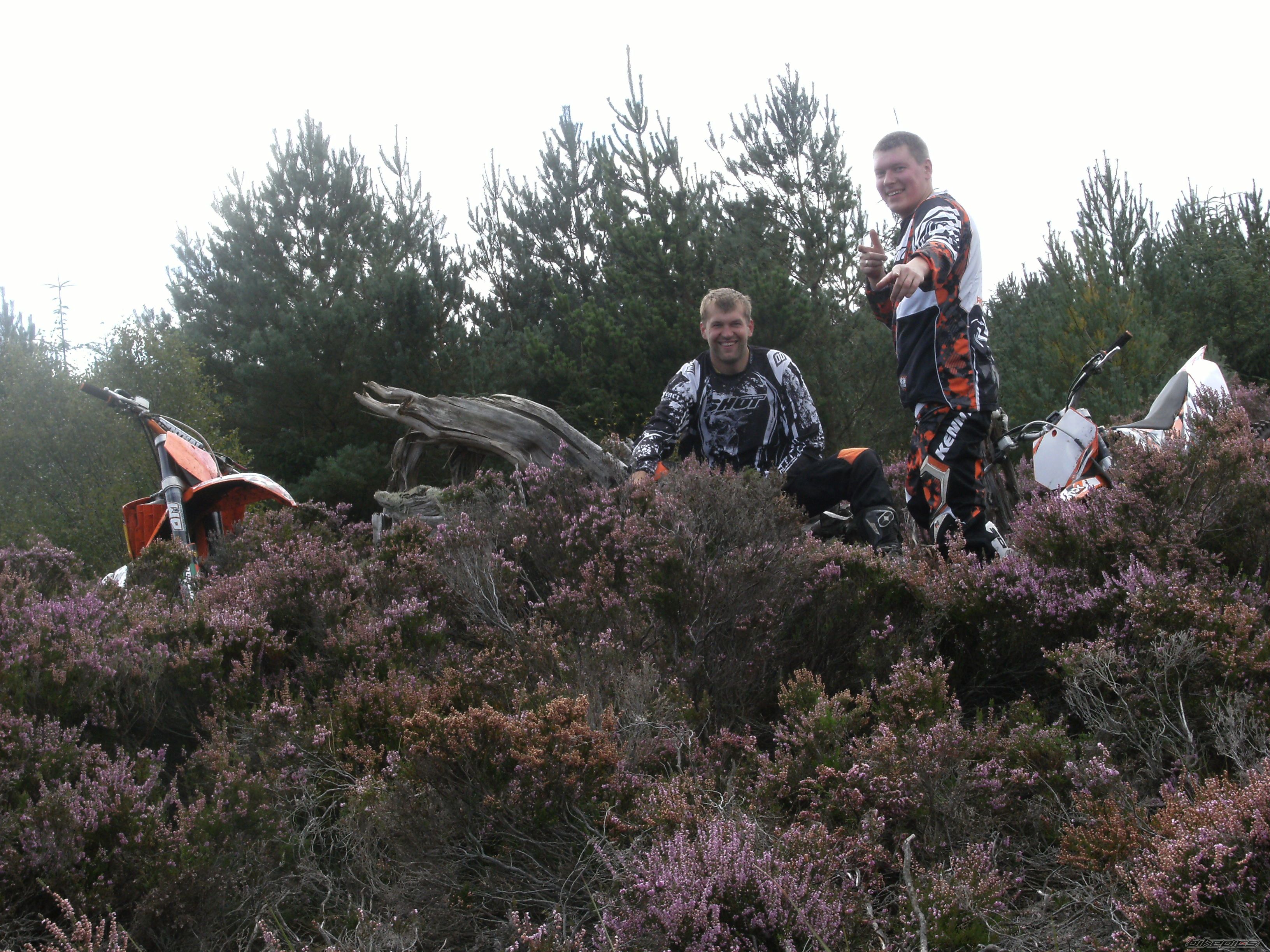 Photo 2072160