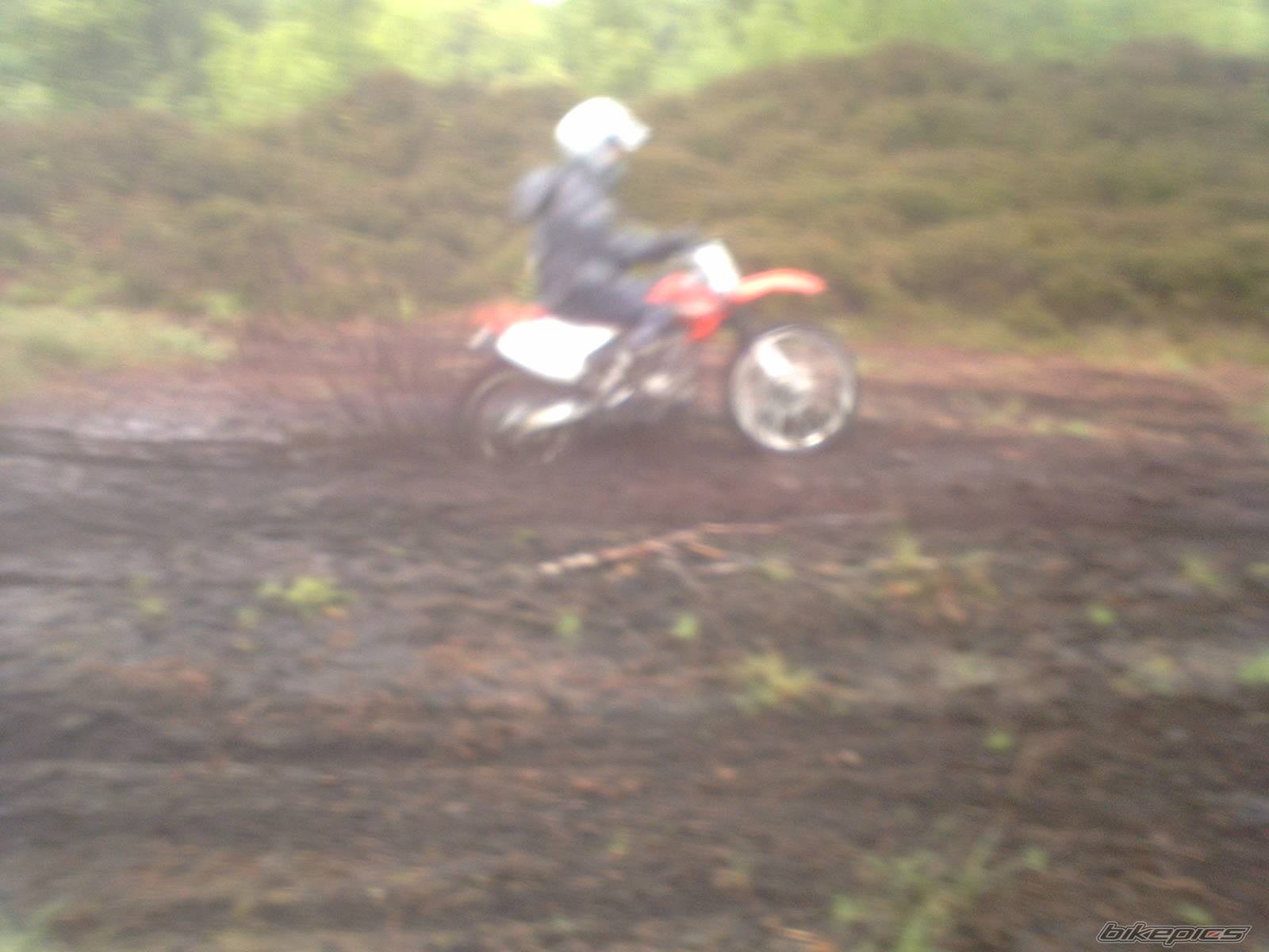 Photo 207218