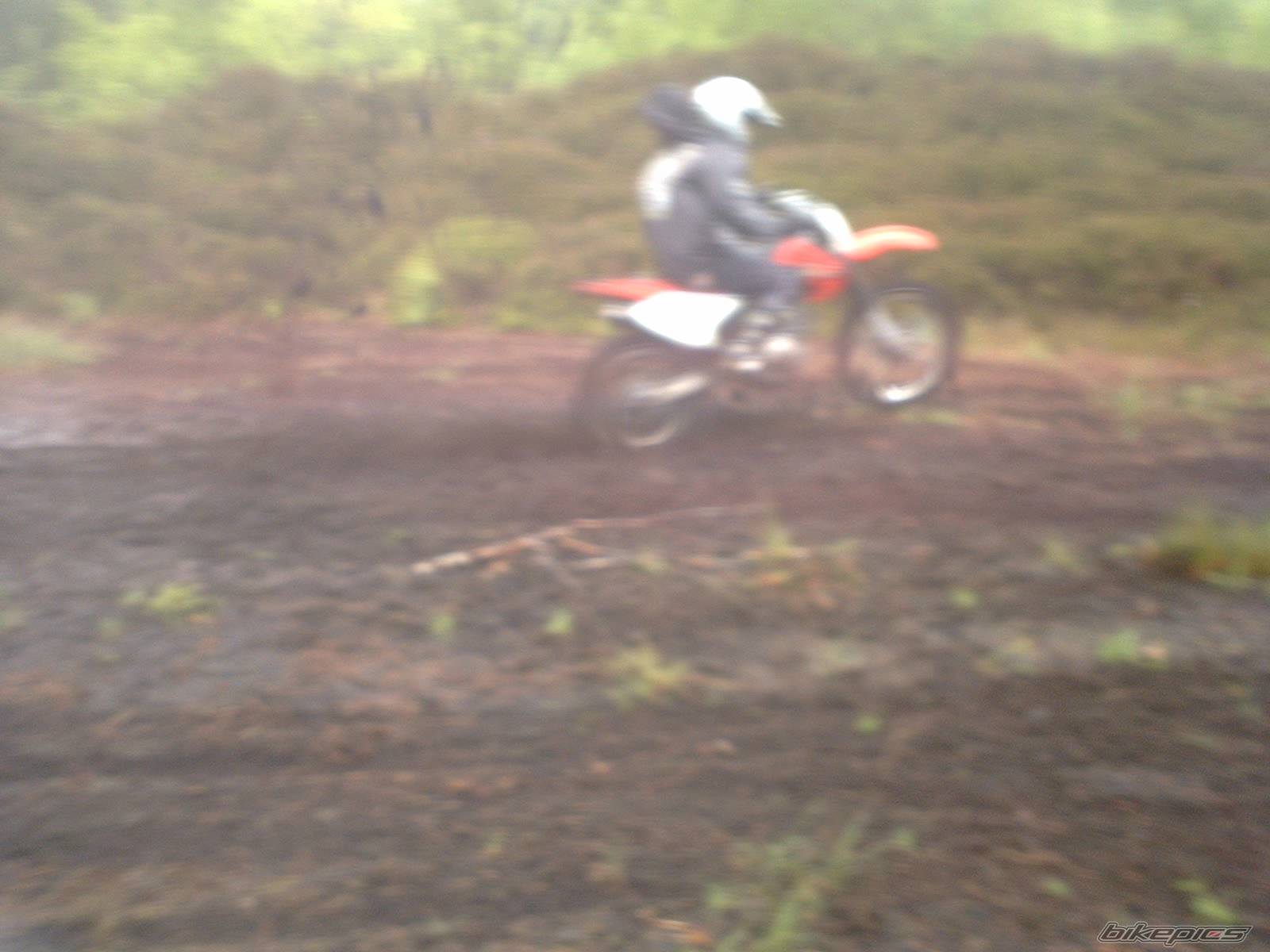 Photo 207221