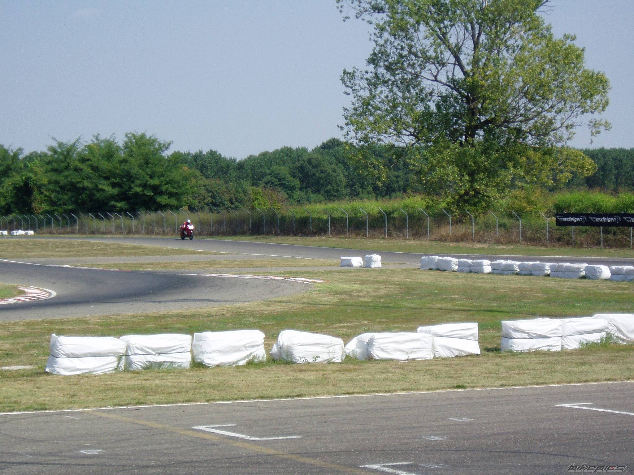 Photo 207231