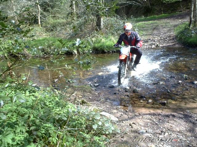 Photo 207232