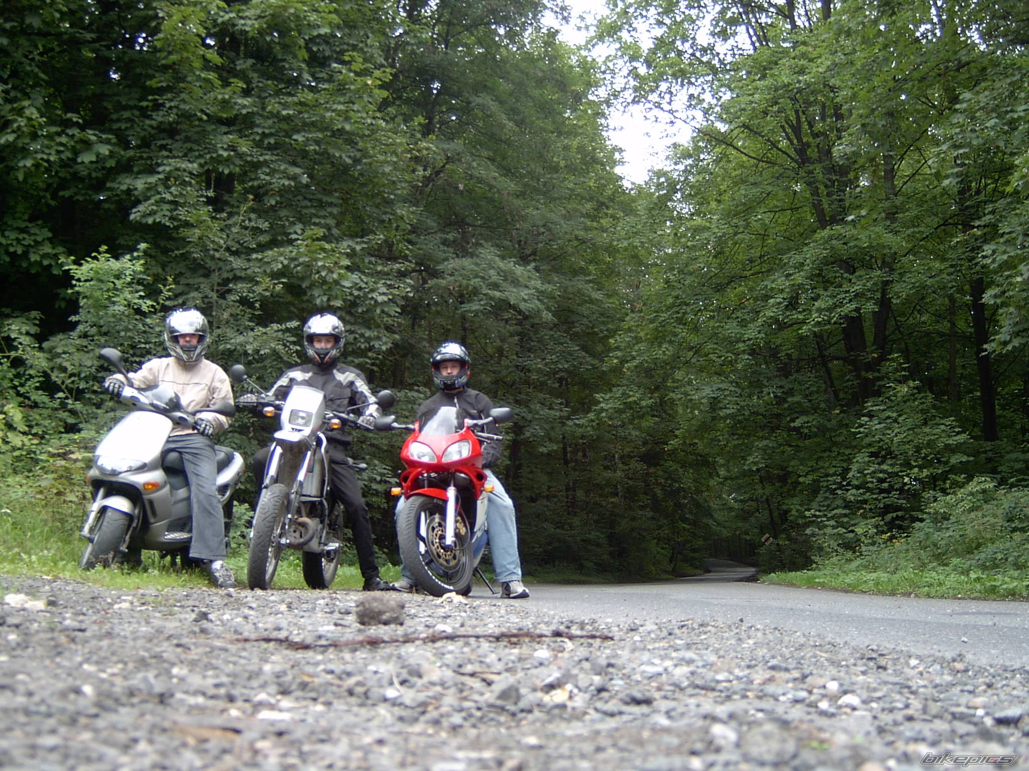 Photo 207240