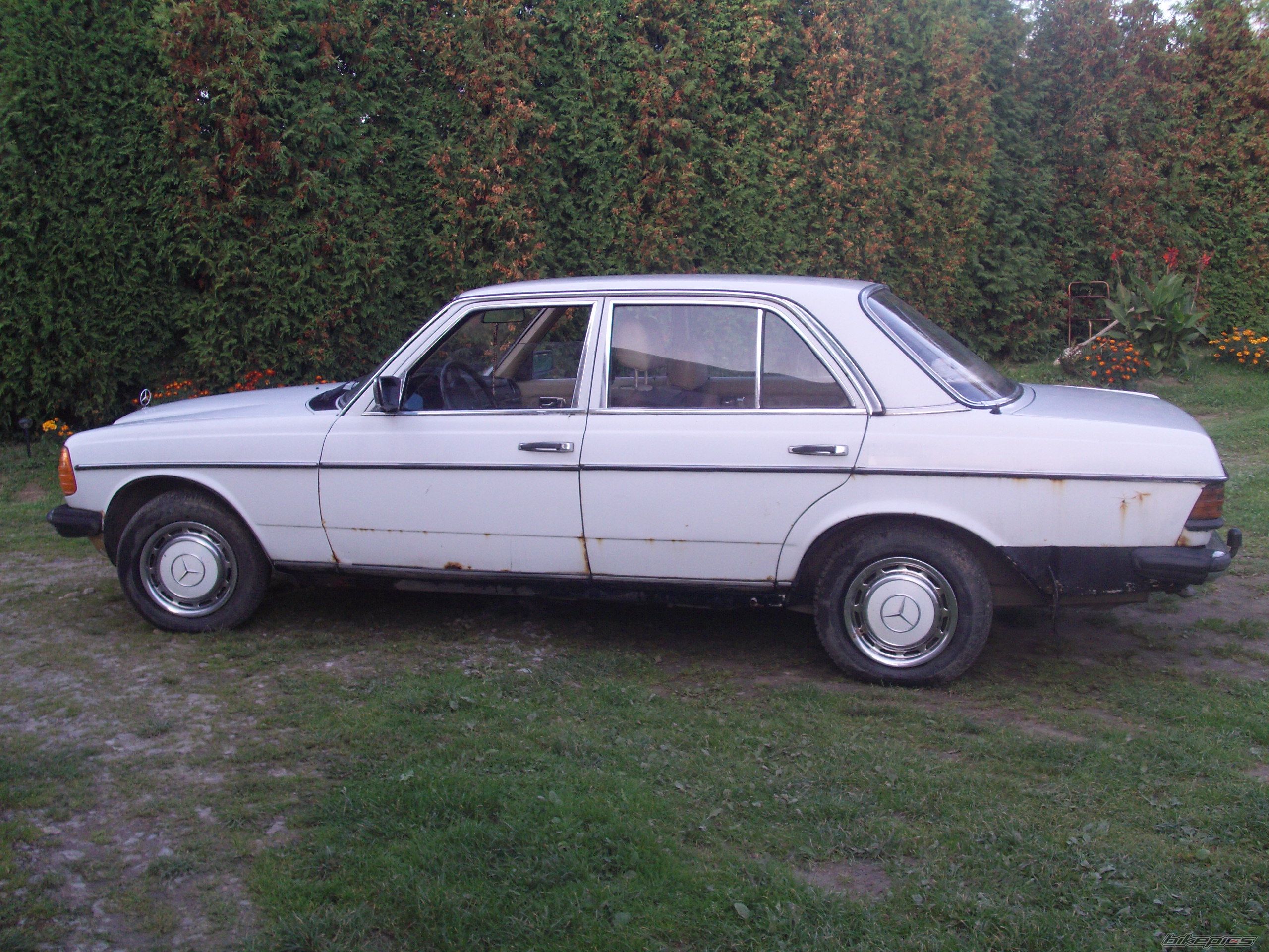Photo 2072501