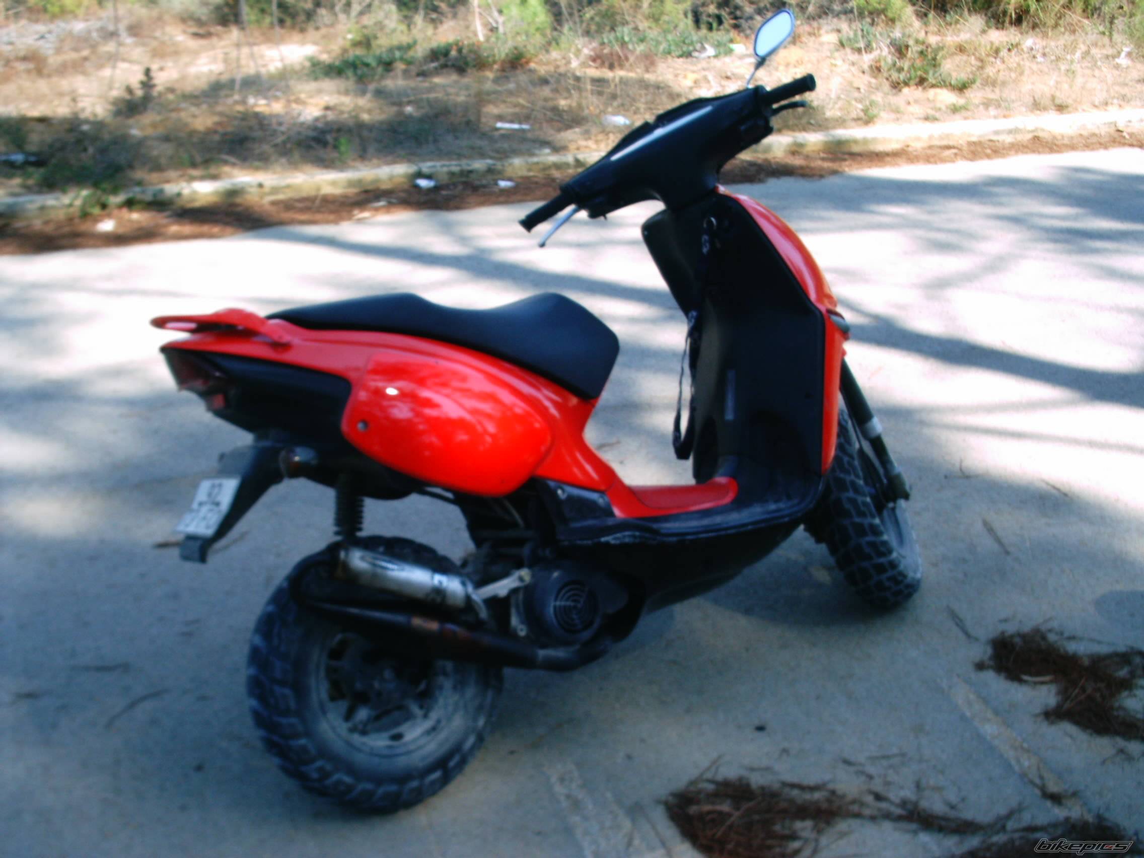 Photo 207252