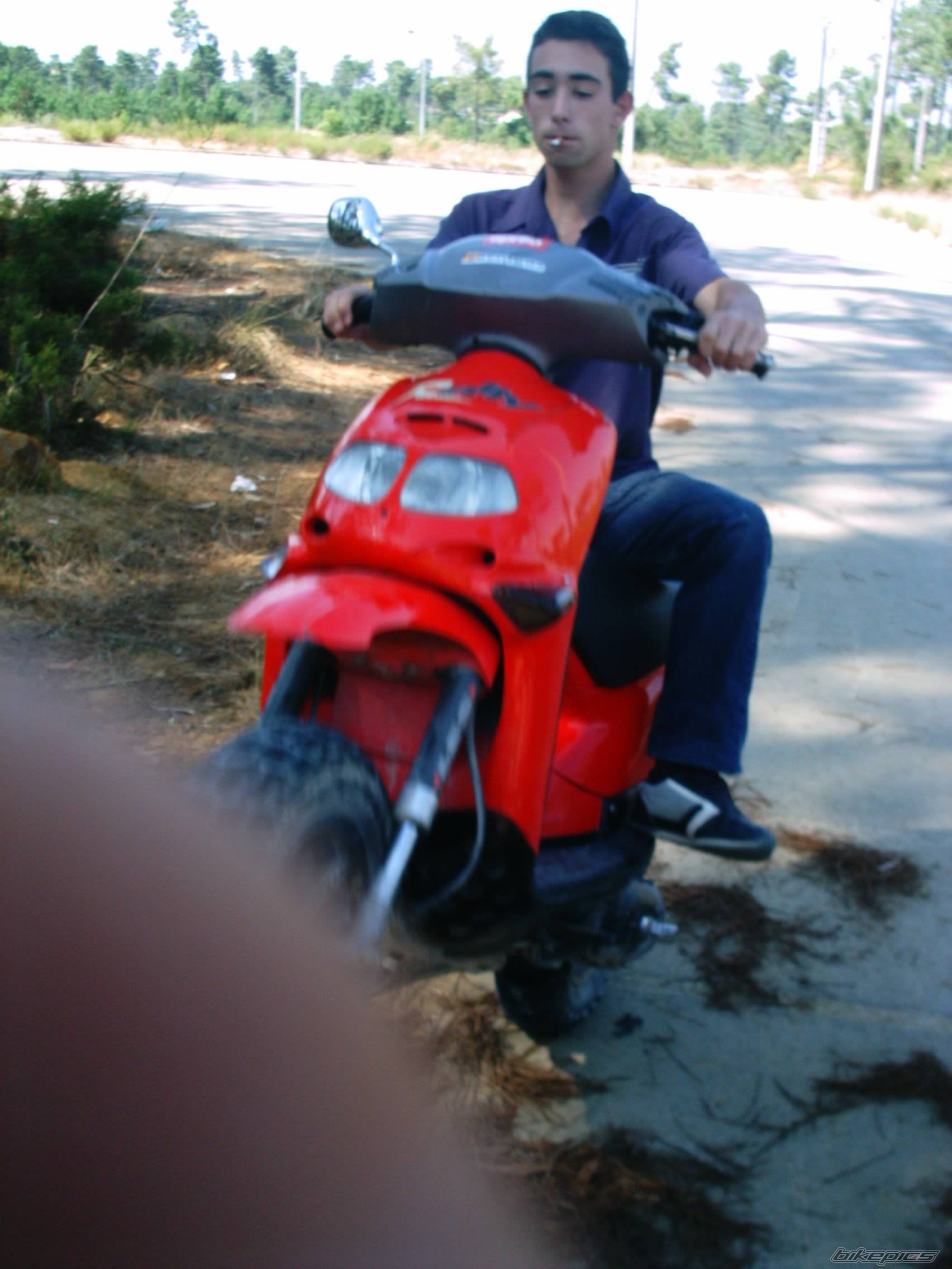 Photo 207255