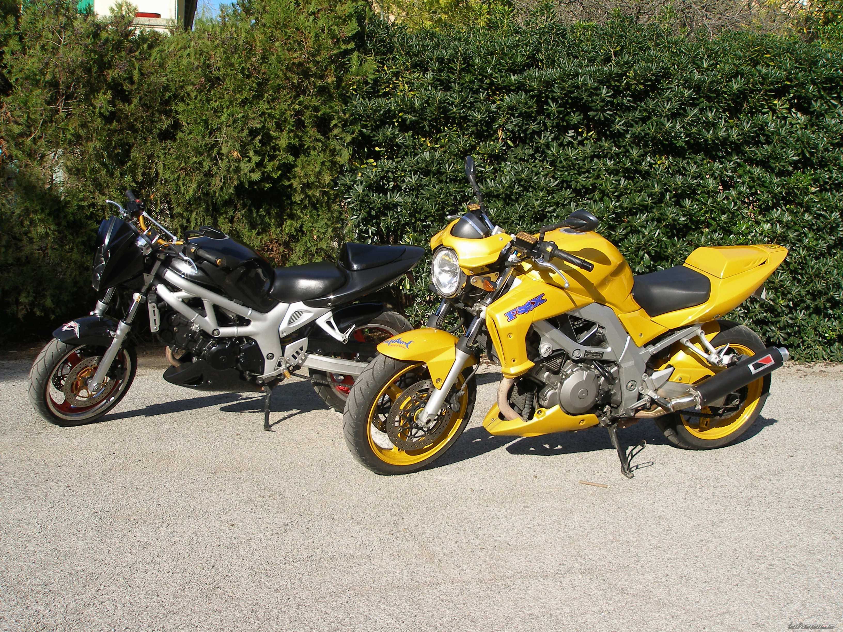 Photo 2072628