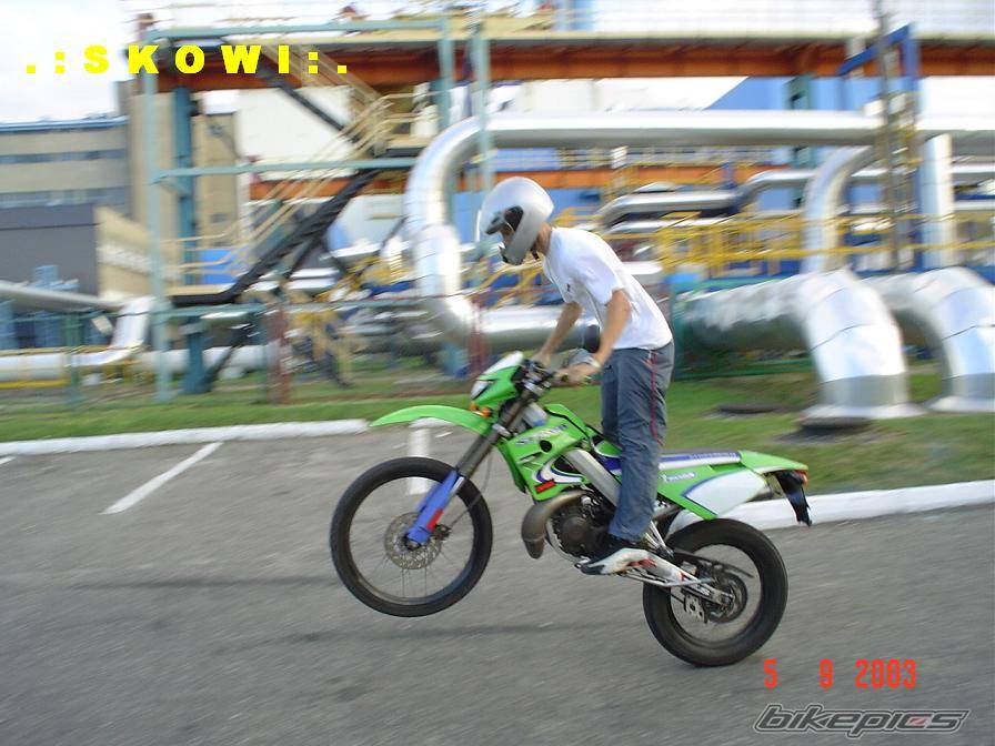 Photo 207307