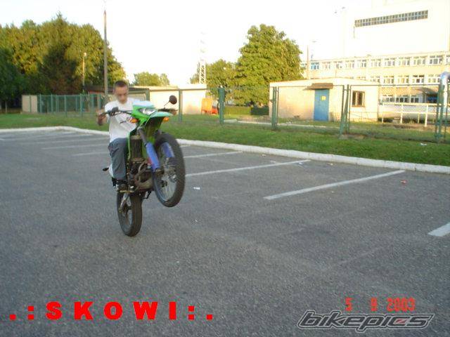 Photo 207317