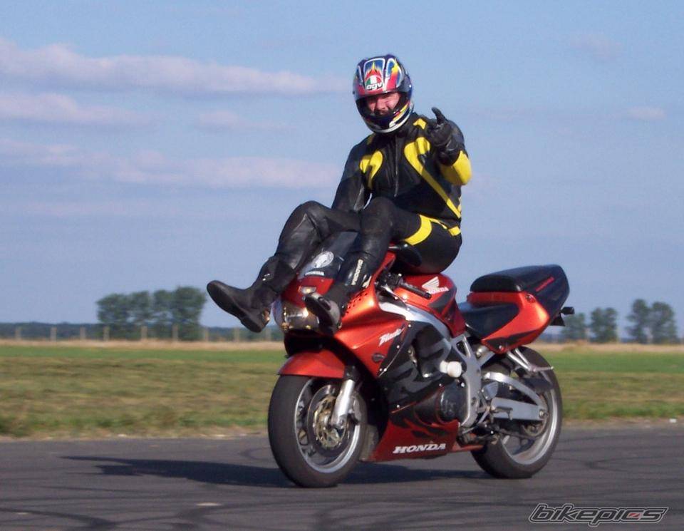 Photo 207320