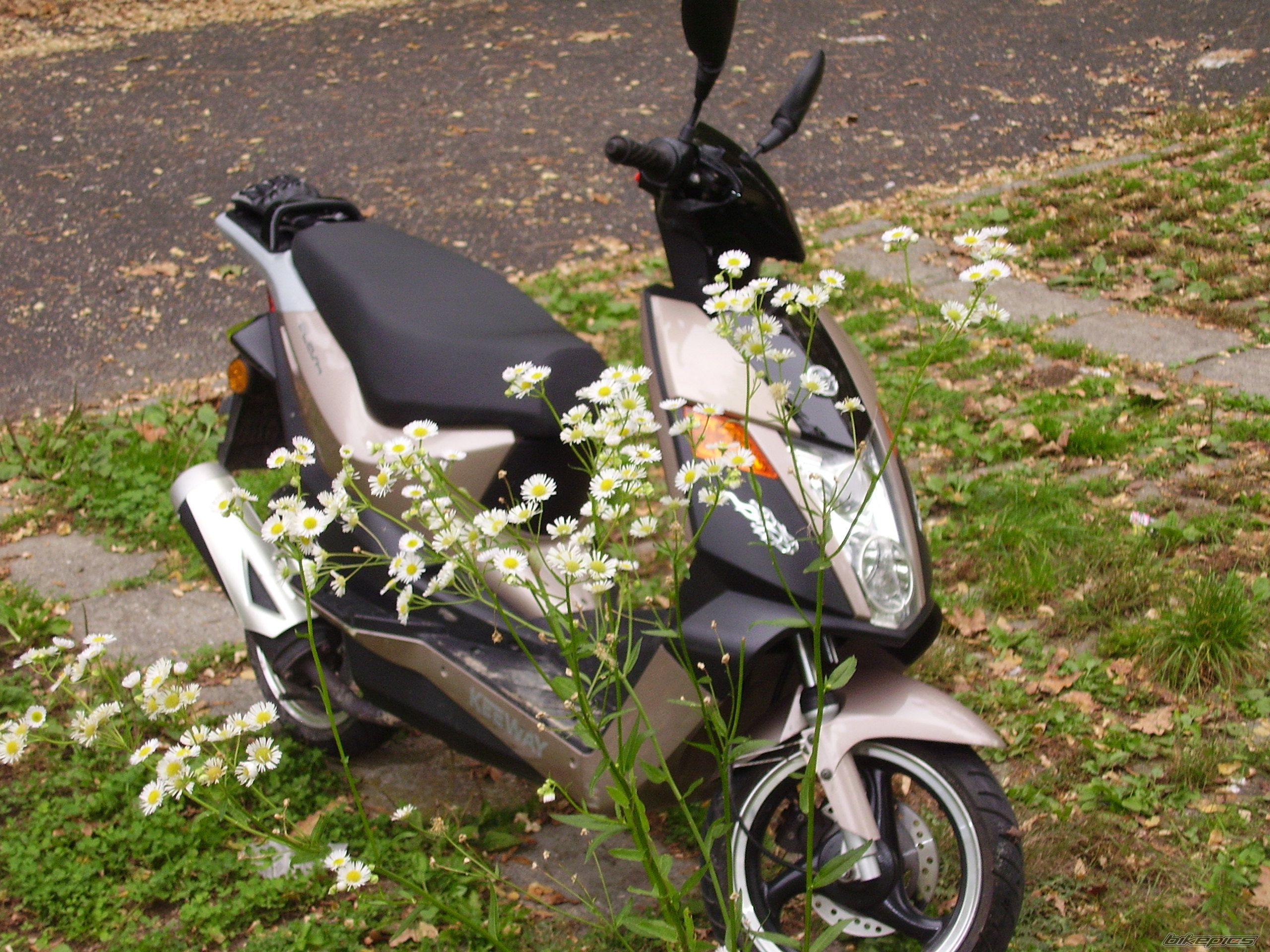 Photo 2073211