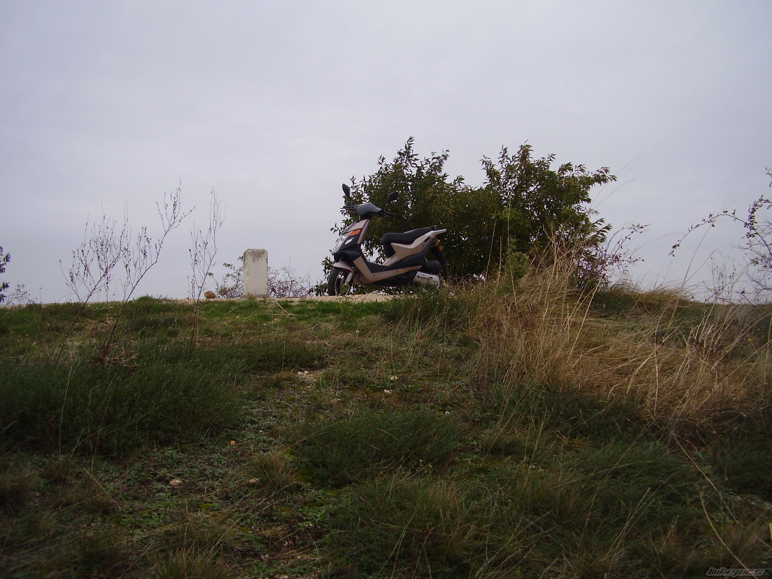 Photo 2073224