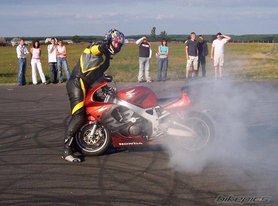 Photo 207323