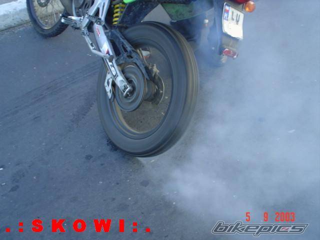 Photo 207345