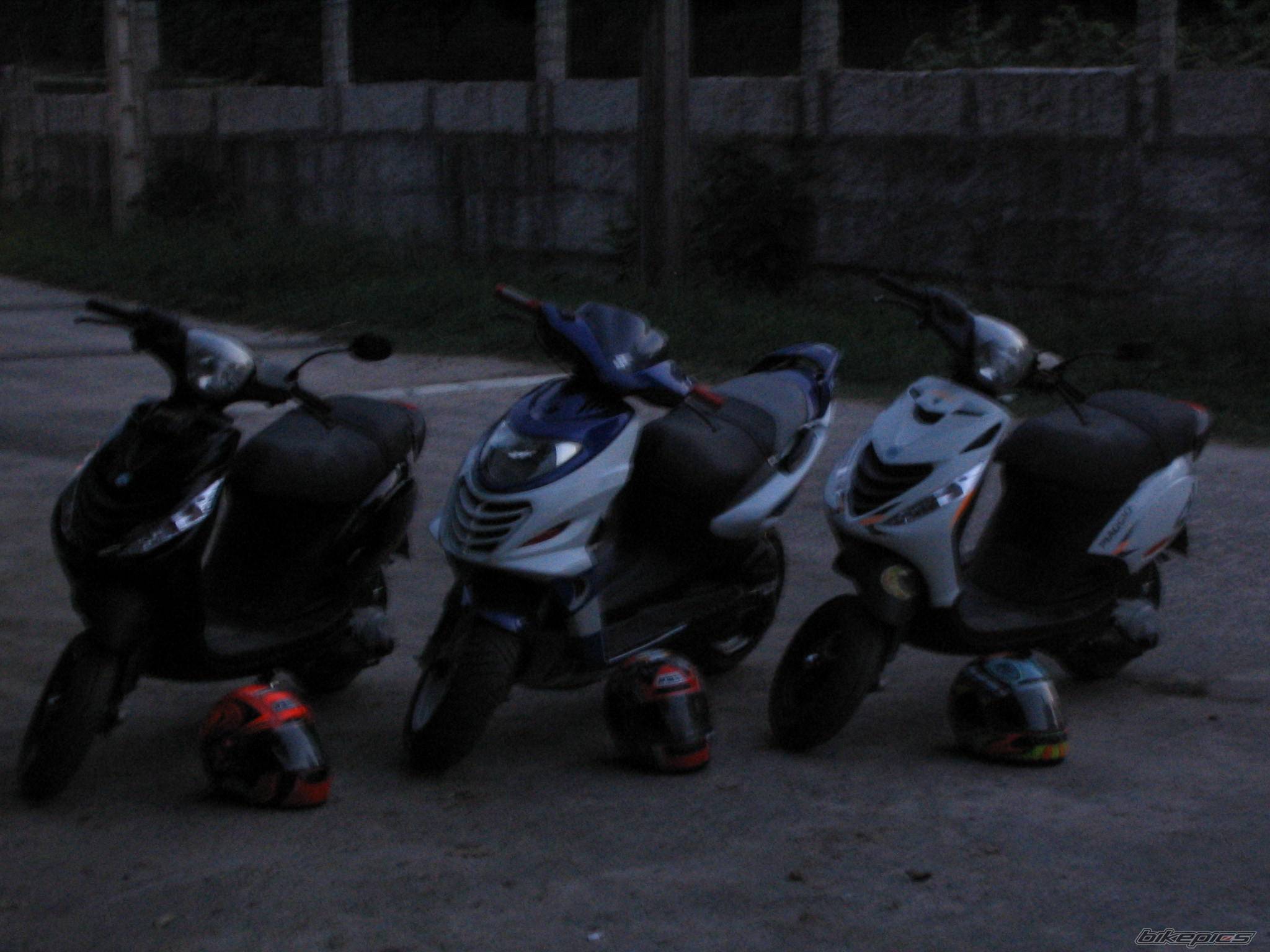 Photo 207354
