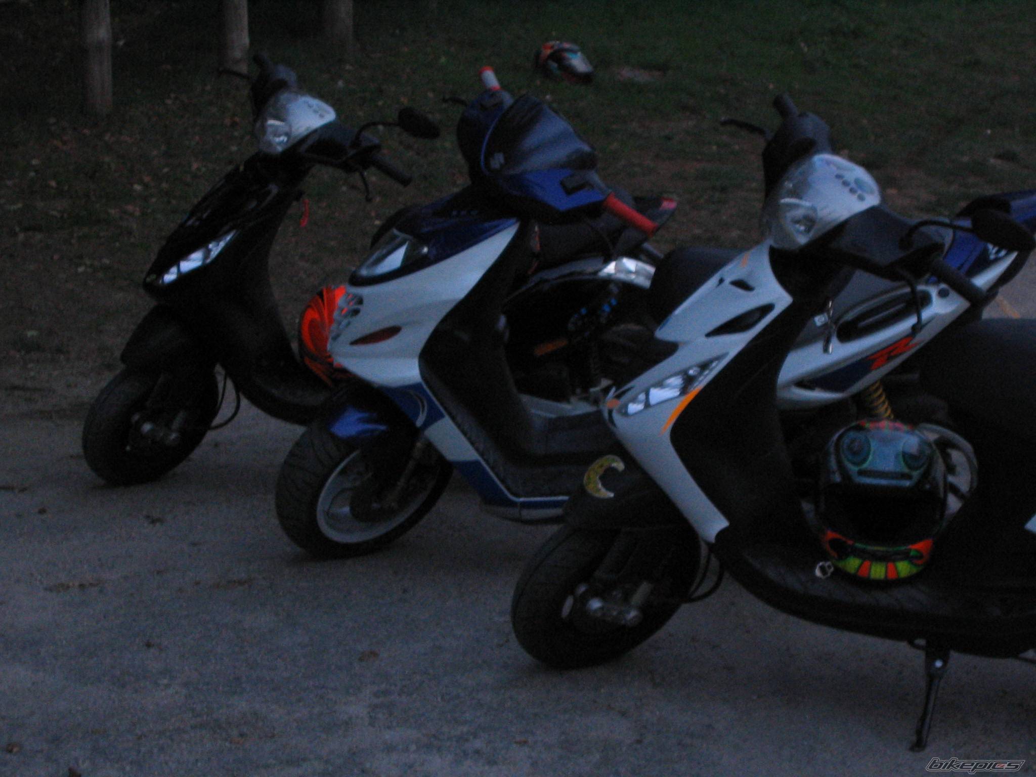 Photo 207355